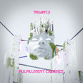 FULFILLMENT CADENCE