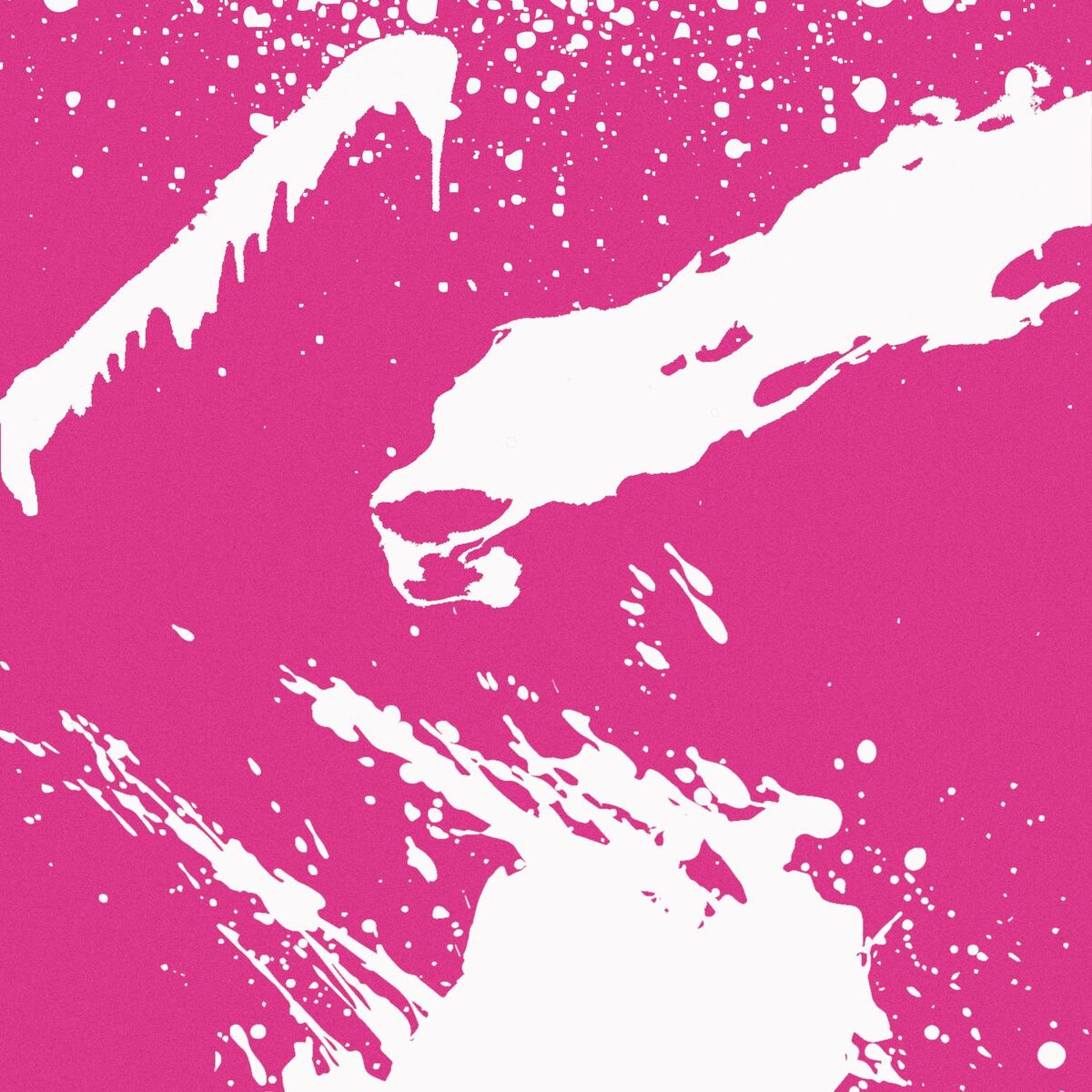 Album cover of PNK (DLX)