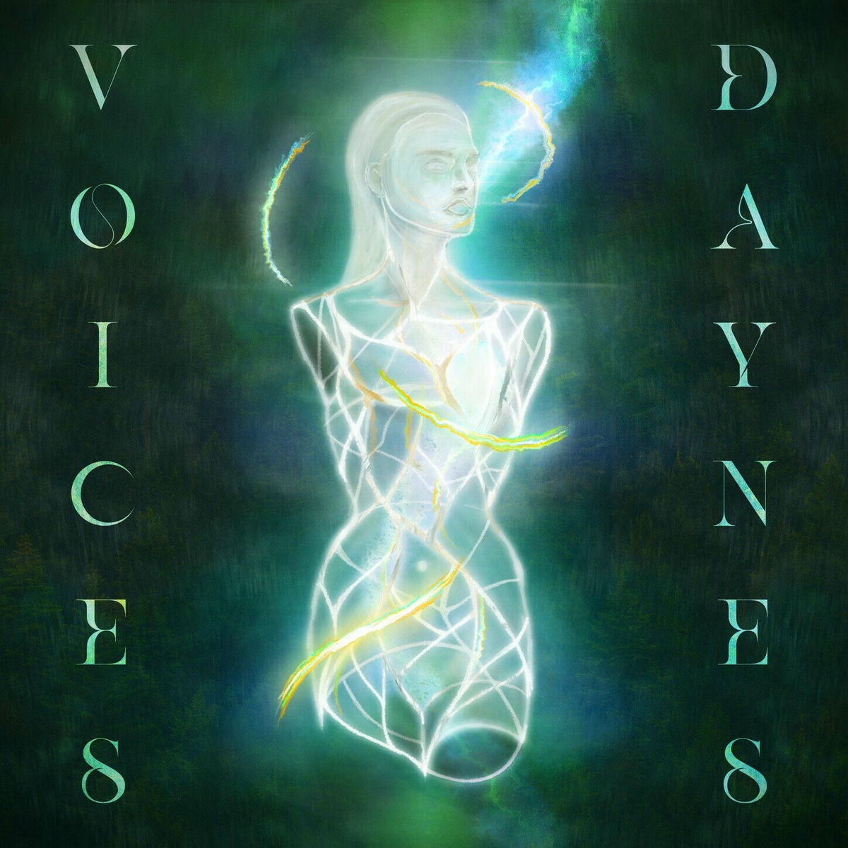 Album cover of Voices