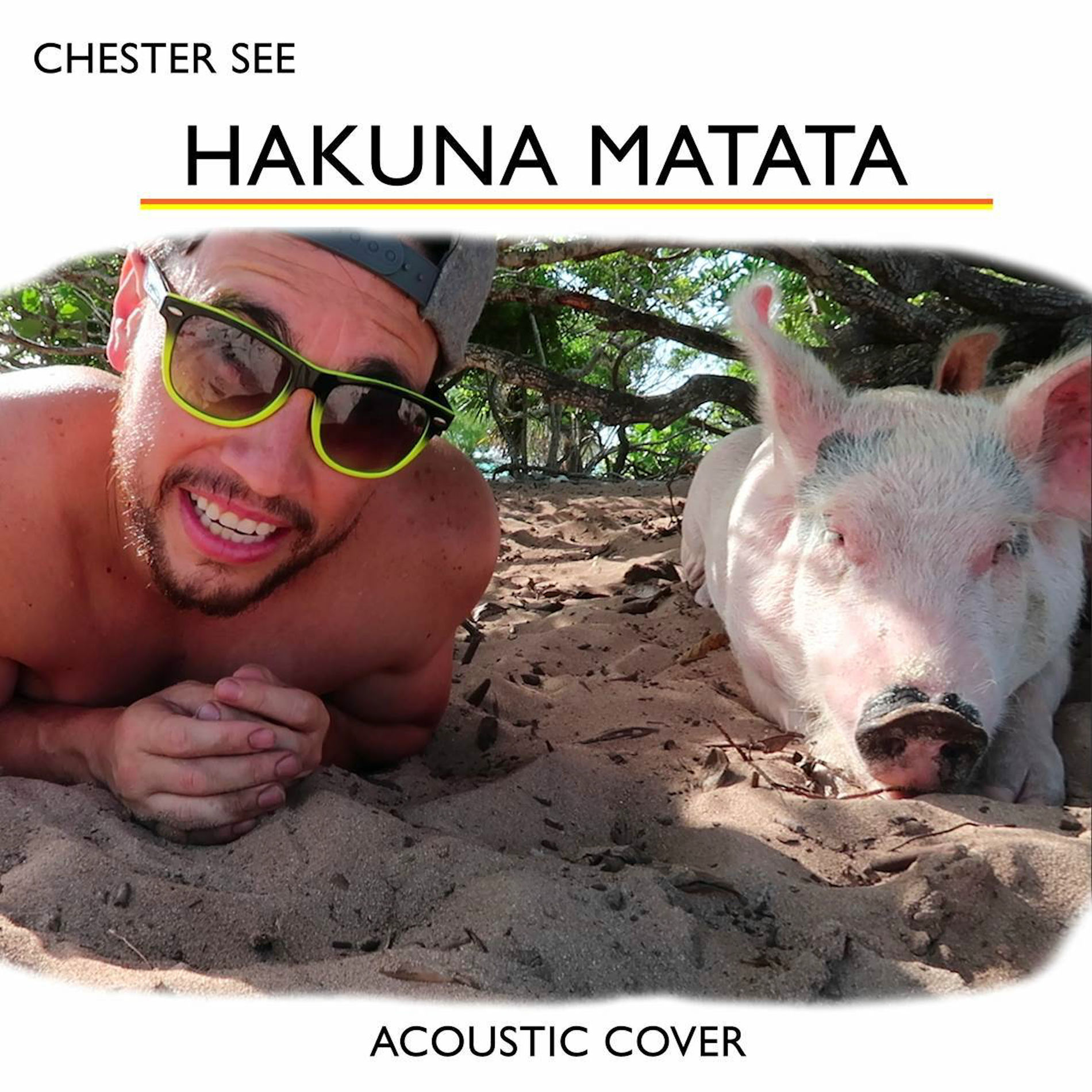 Album cover of Hakuna Matata