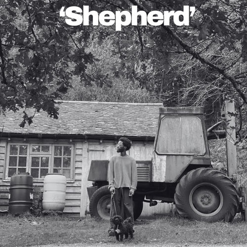 Shepherd
