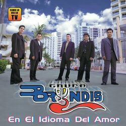 Cover of En El Idioma Del Amor