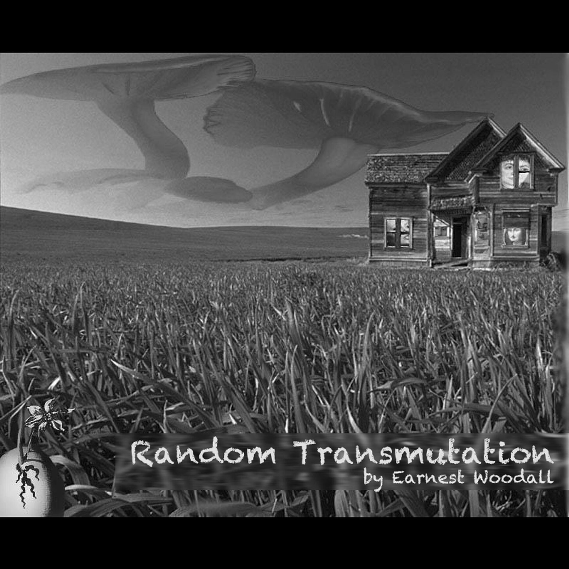 Album cover of Random Transmutation