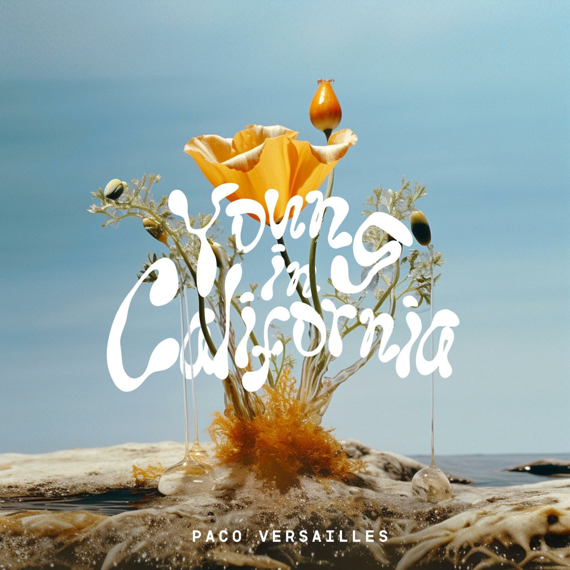 Album cover of Young In California