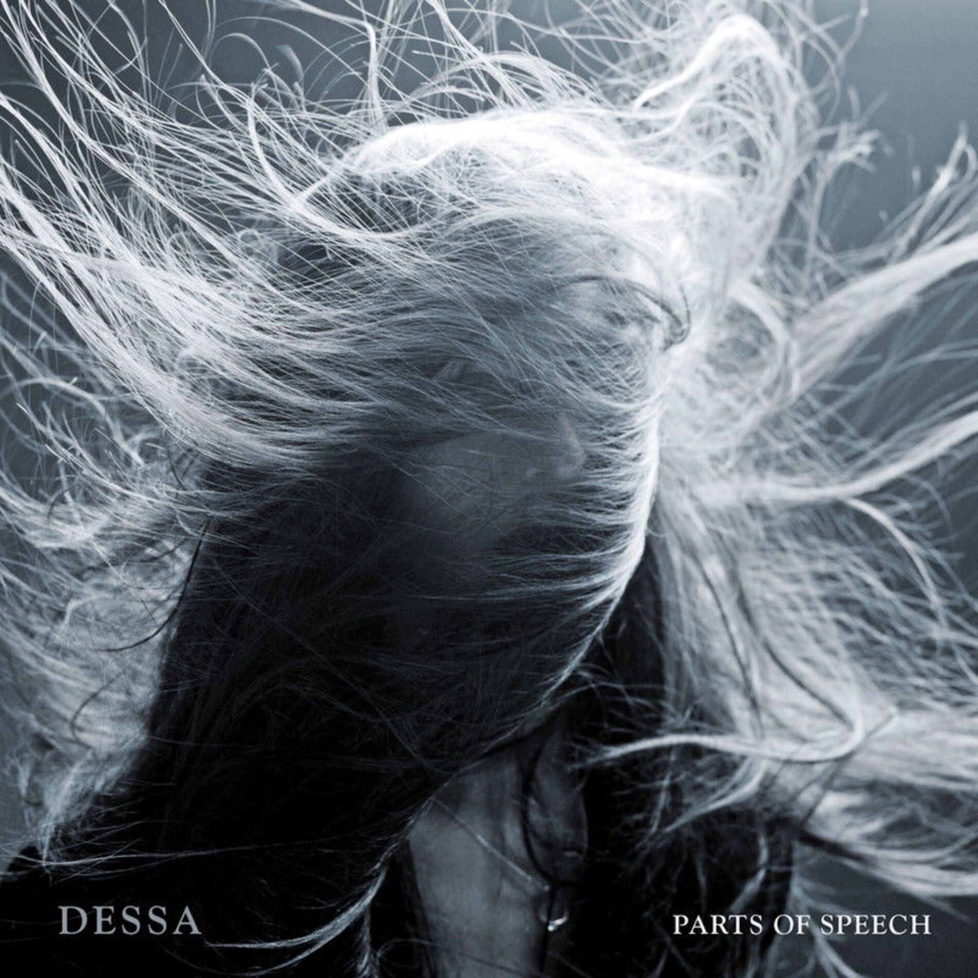 Album cover of Parts of Speech