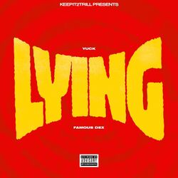 Cover of Lying