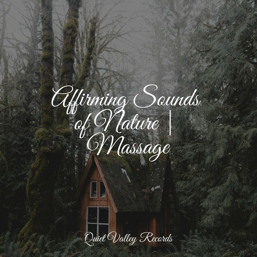 Picture of Affirming Sounds of Nature | Massage
