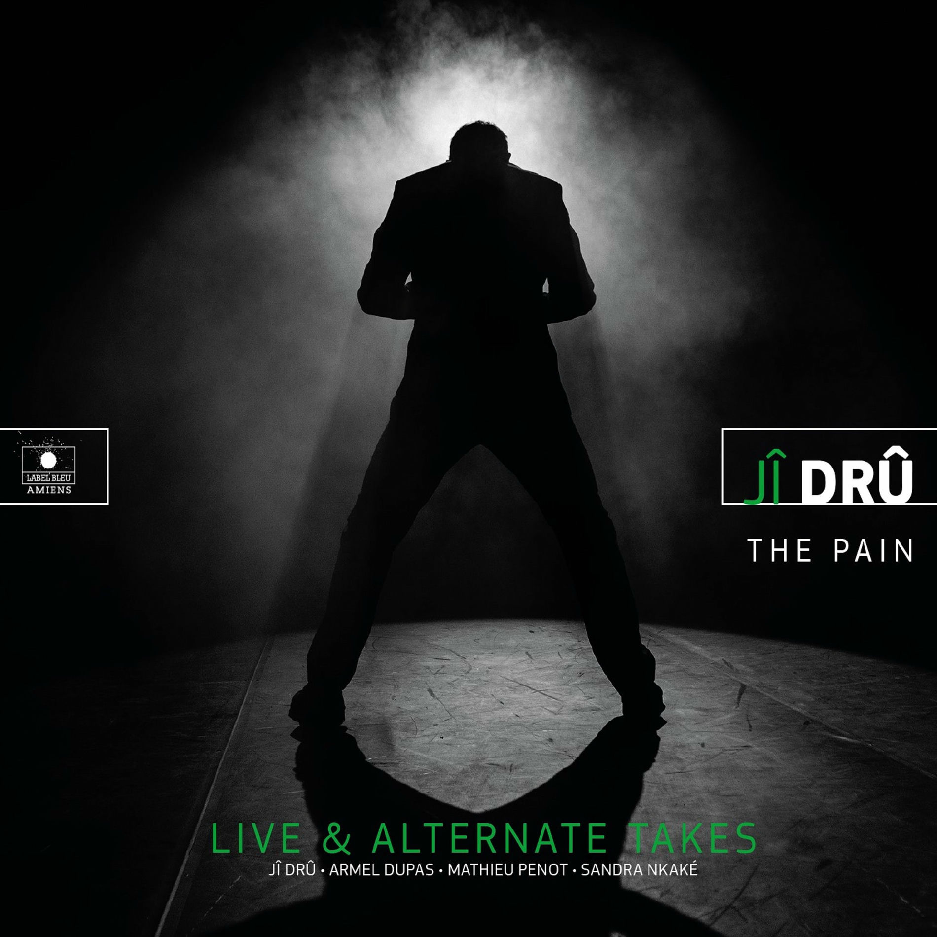Album cover of The Pain (Live & Alternate Takes)