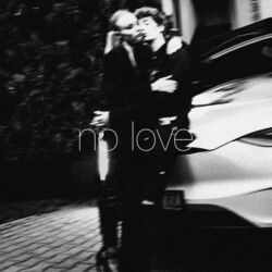 Cover of No Love