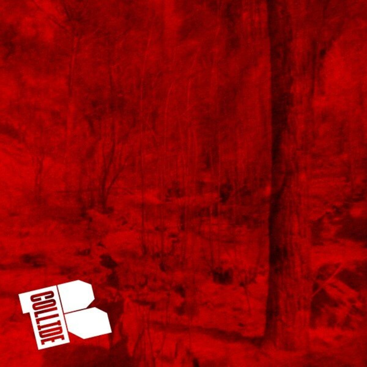 Album cover of Collide Session #14 - Die Nerven