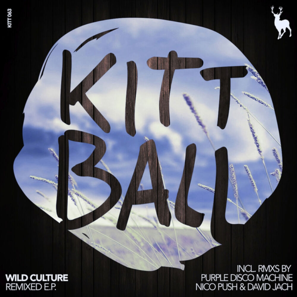 Picture of Remixed E.P. (Incl. Remixes By Purple Disco Machine, Nico Pusch, Daivd Jach)