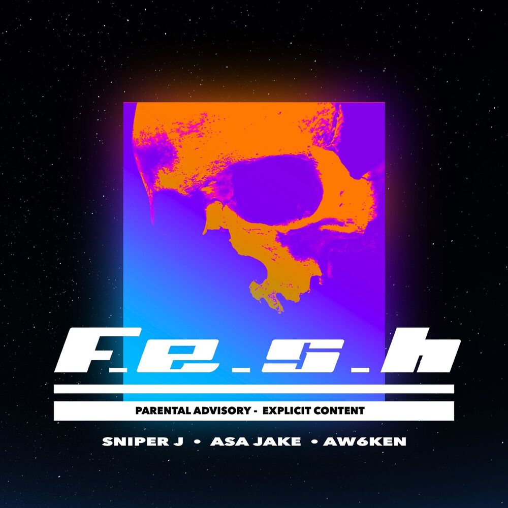 Picture of F.E.S.H