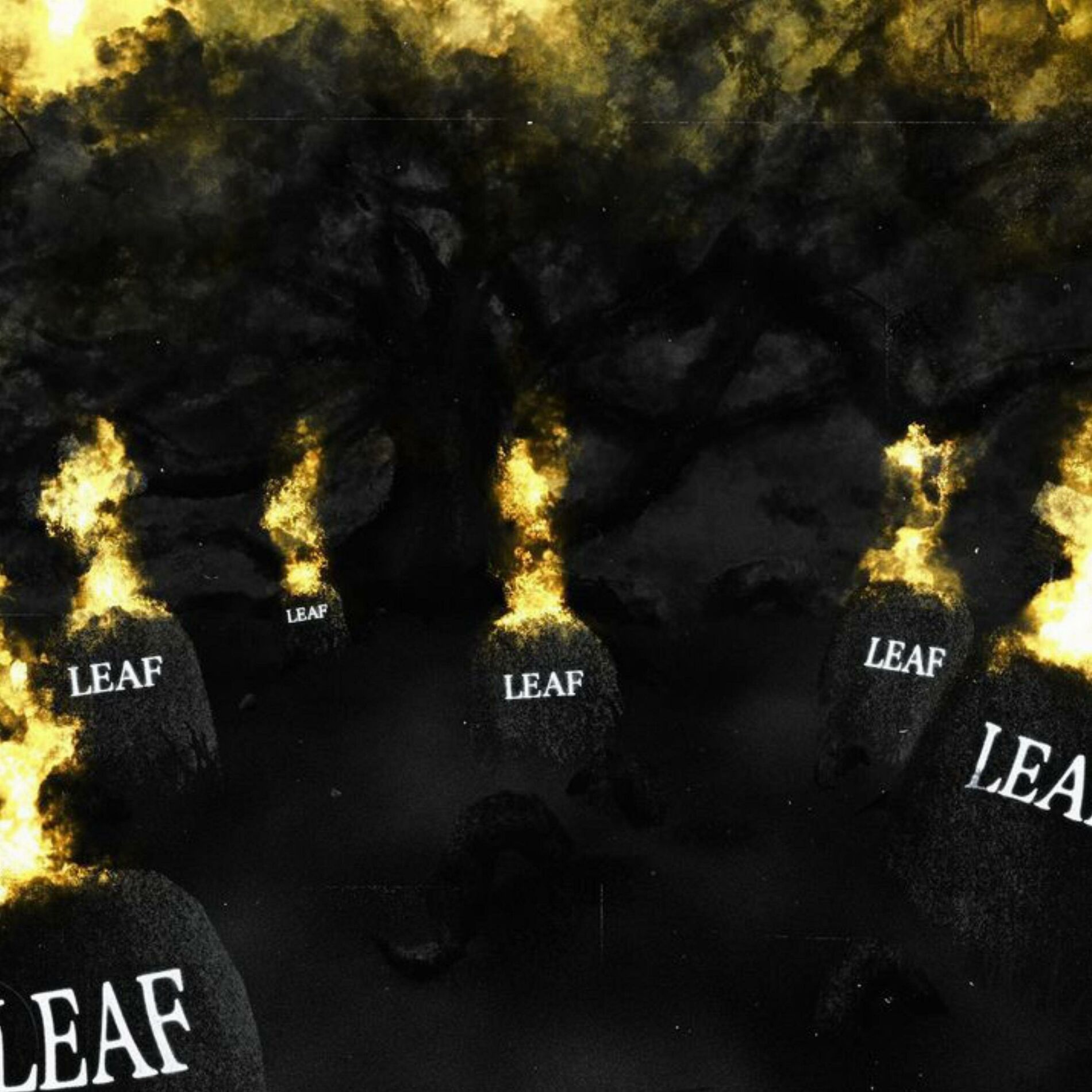 Album cover of MERAKI* (DELUXE)