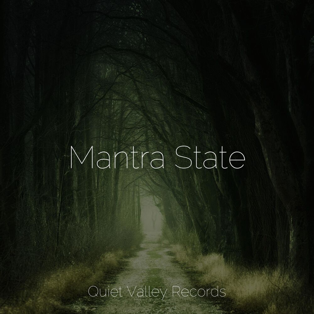 Picture of Mantra State