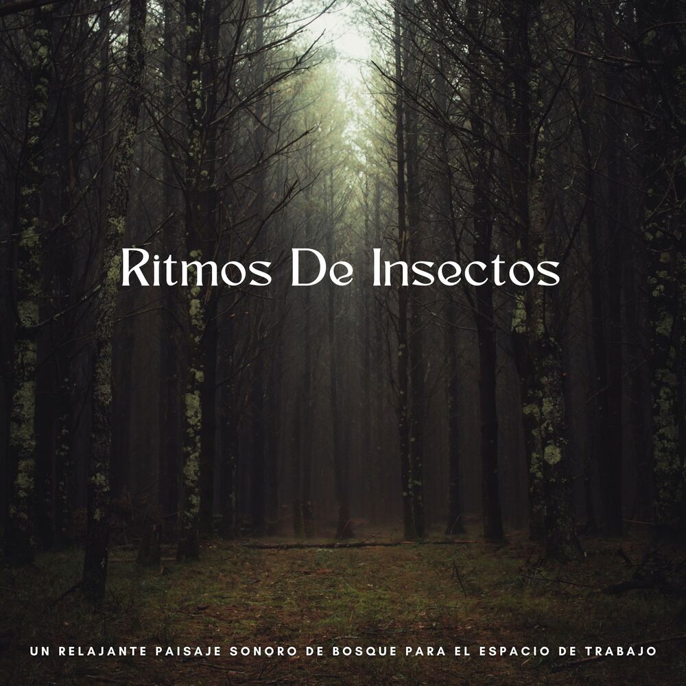 Picture of Ritmos De Insectos: Un Relajante Paisaje Sonoro De Bosque Para El Espacio De Trabajo