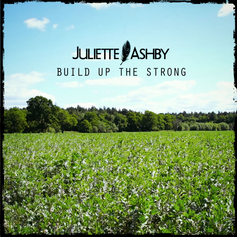 Picture of Build up the Strong - EP