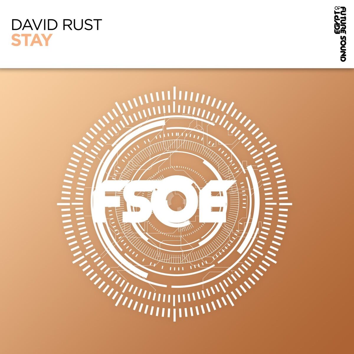 Album cover of Stay