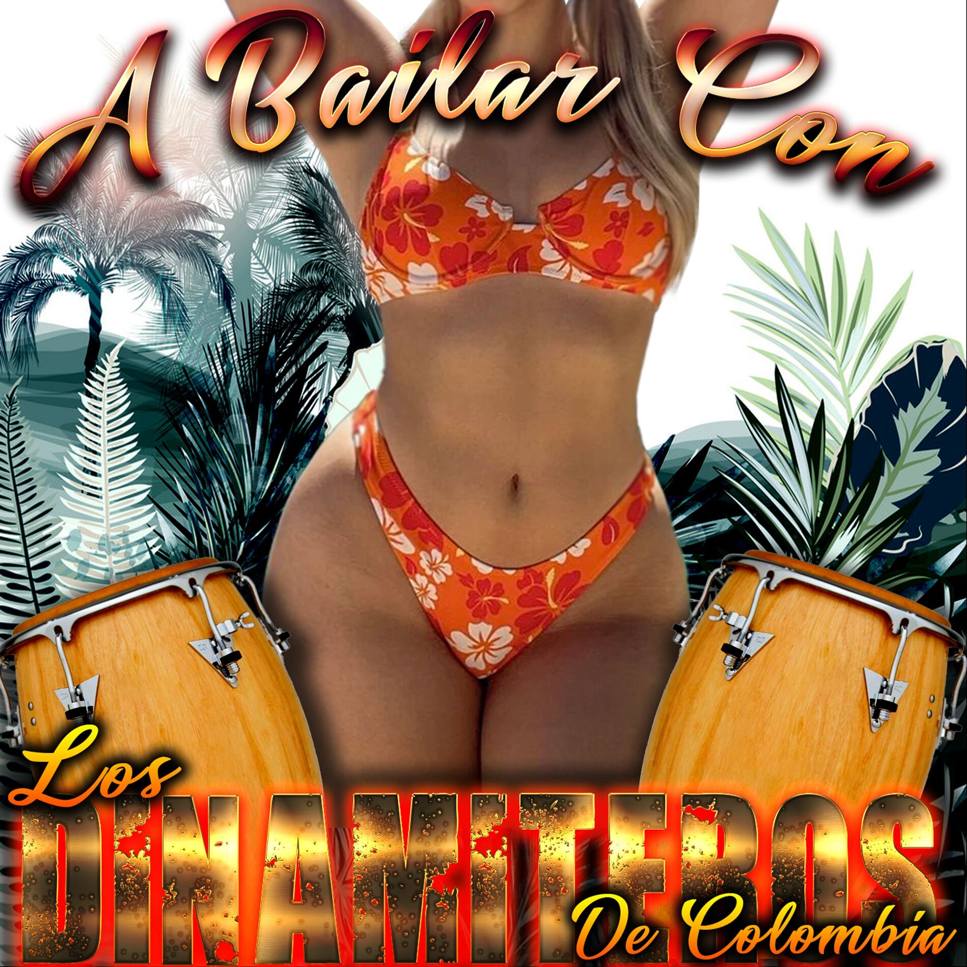 Album cover of A Bailar Con