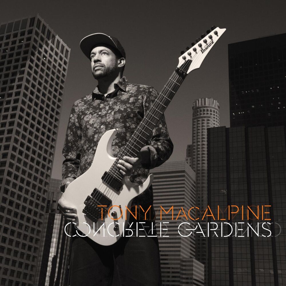 Picture of Concrete Gardens