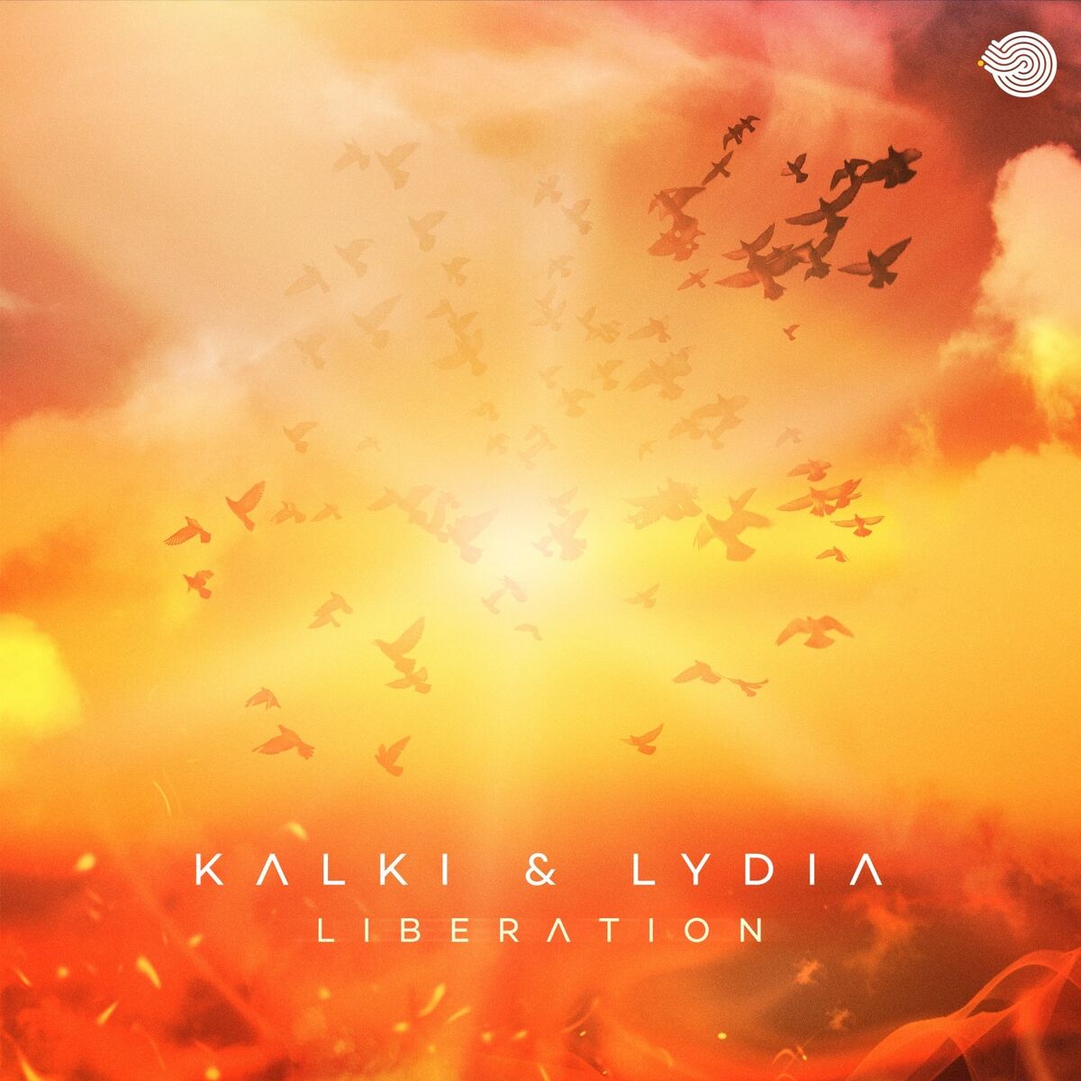 Album cover of Liberation