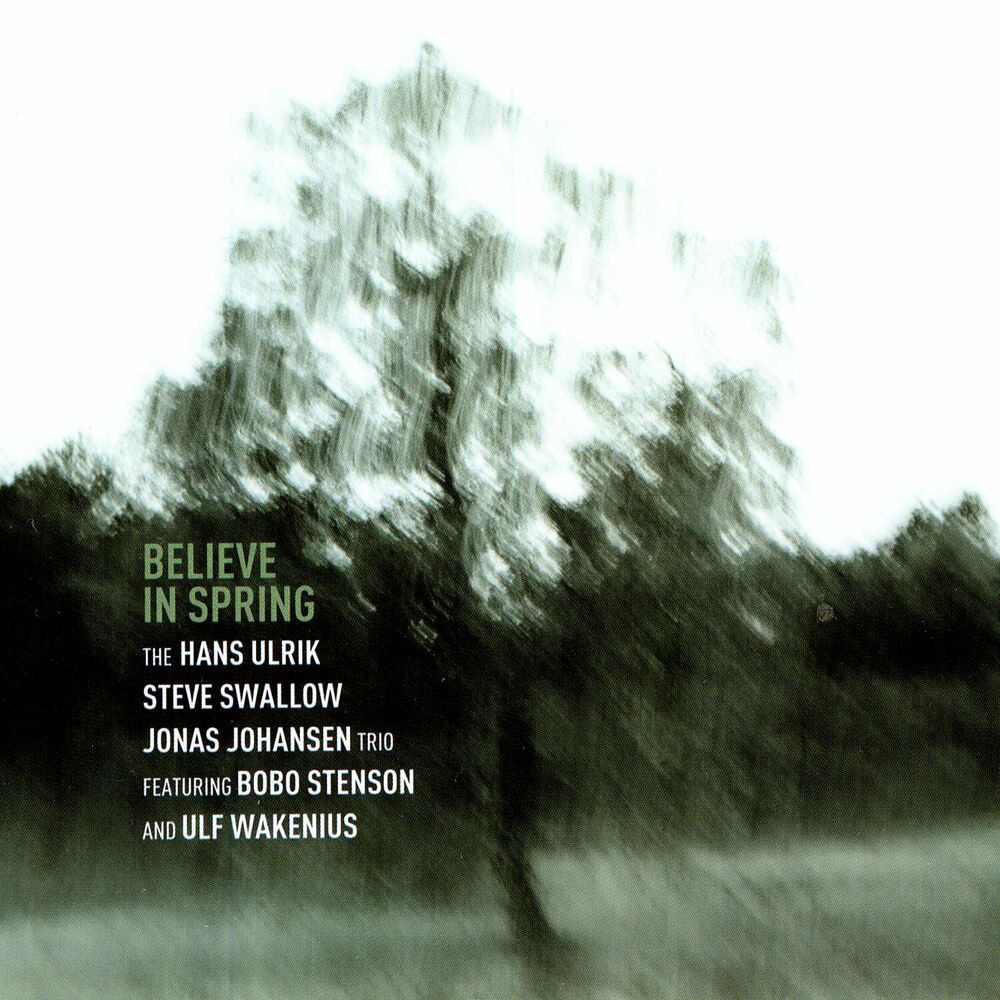 Picture of Believe In Spring
