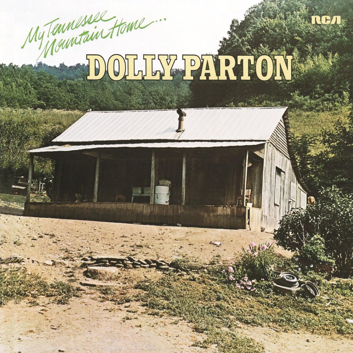 Album cover of My Tennessee Mountain Home