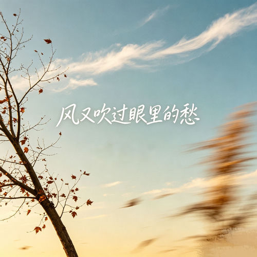 风又吹过眼里的愁
