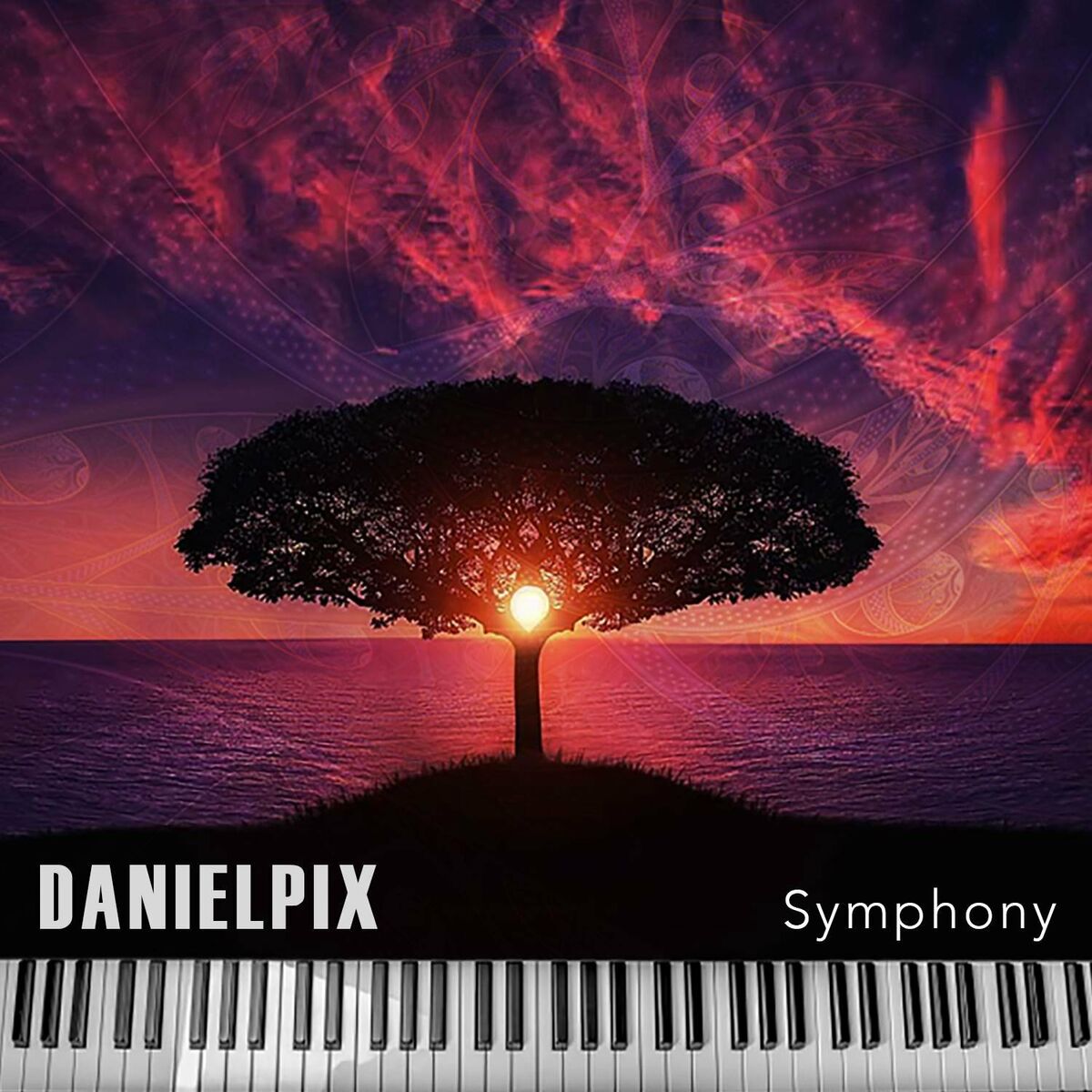 Album cover of Symphony
