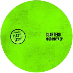 Cover of Micromaya EP