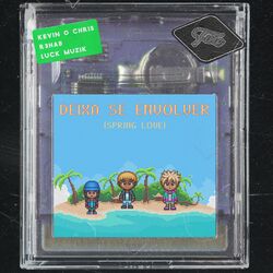 Cover of Deixa Se Envolver (Spring Love)