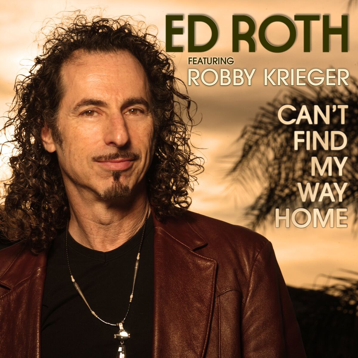 Album cover of Can't Find My Way Home (featuring Robby Krieger)