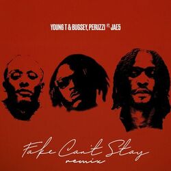 Cover of Fake Can't Stay (Remix)