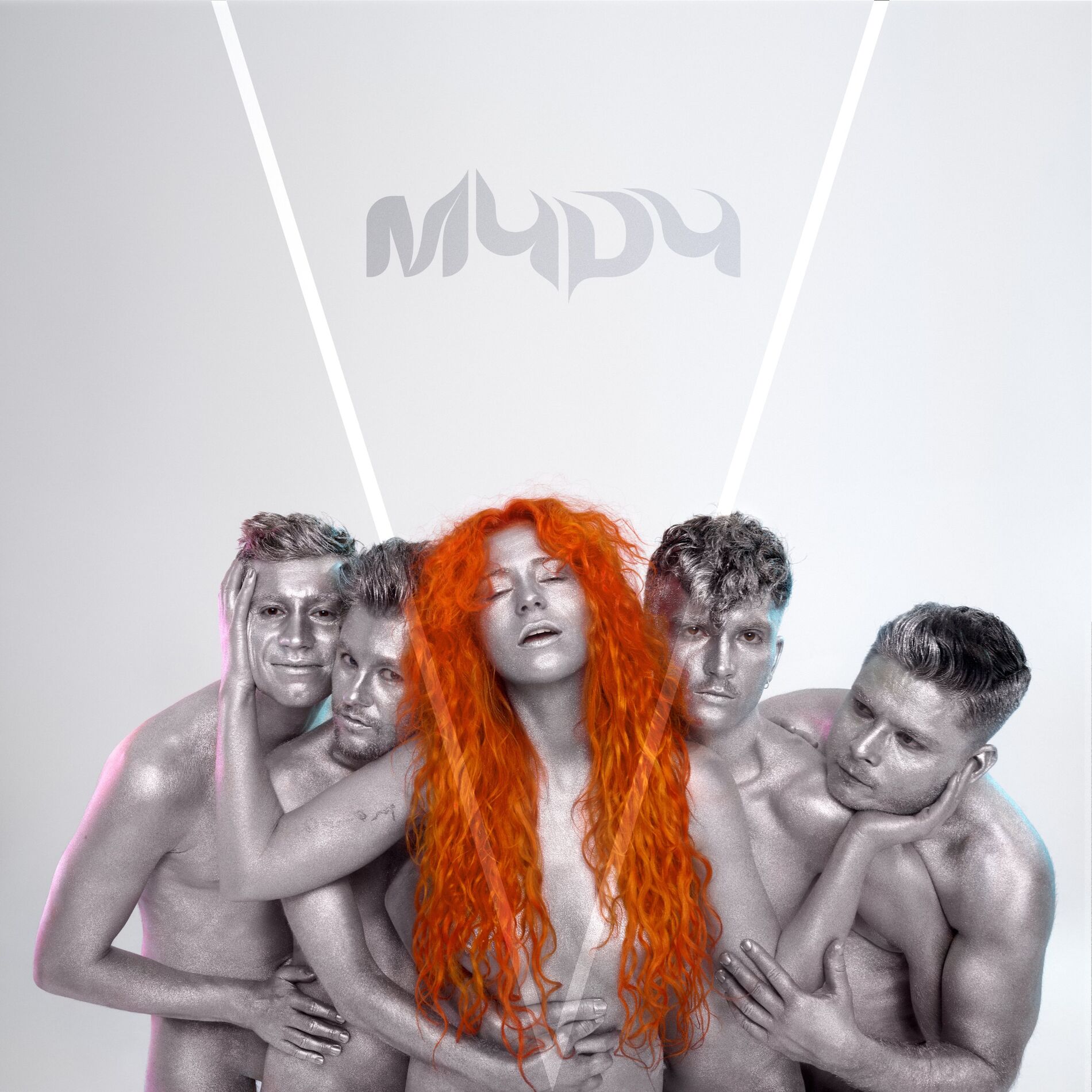 Album cover of V
