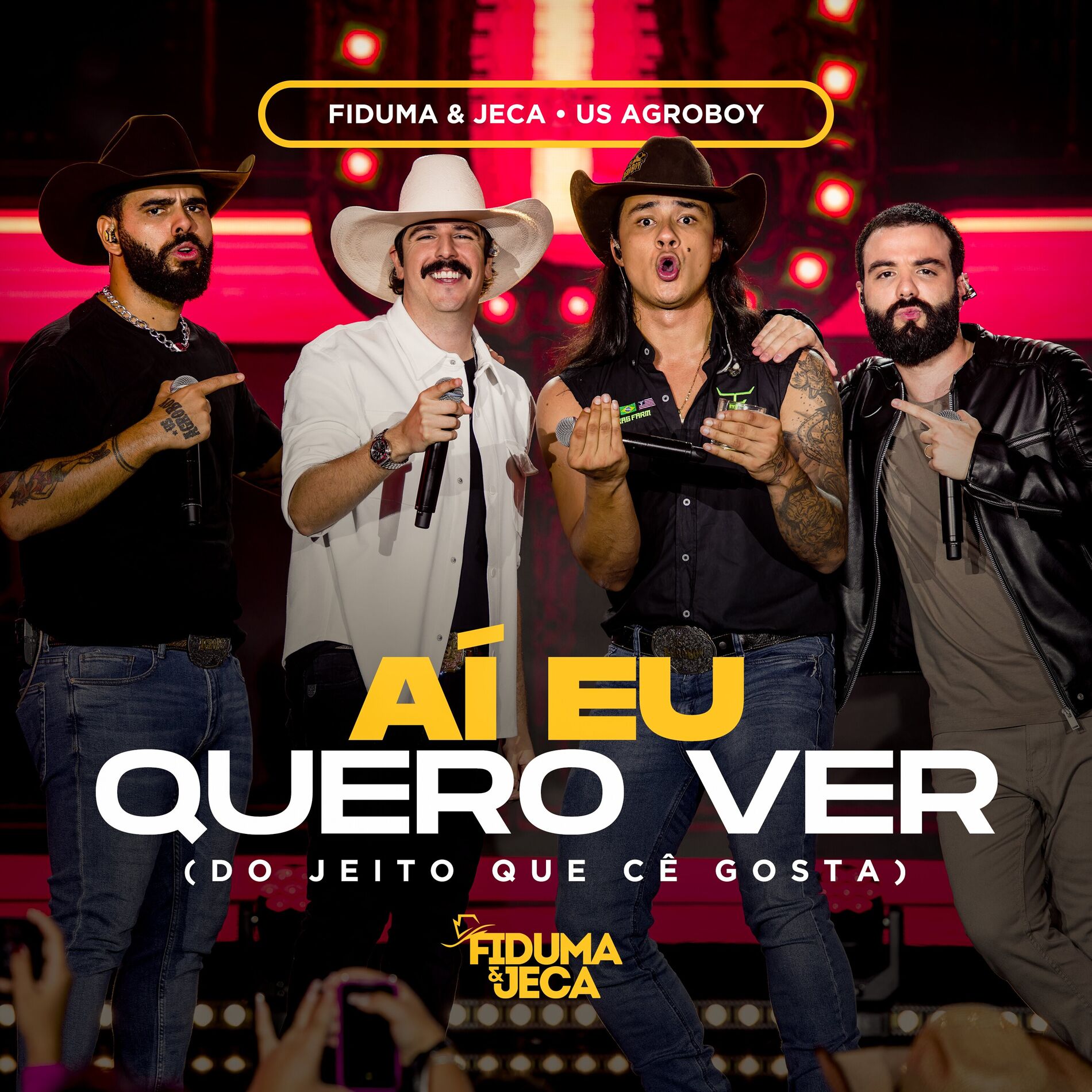Album picture of Aí Eu Quero Ver (Do Jeito Que Cê Gosta) (Ao Vivo)