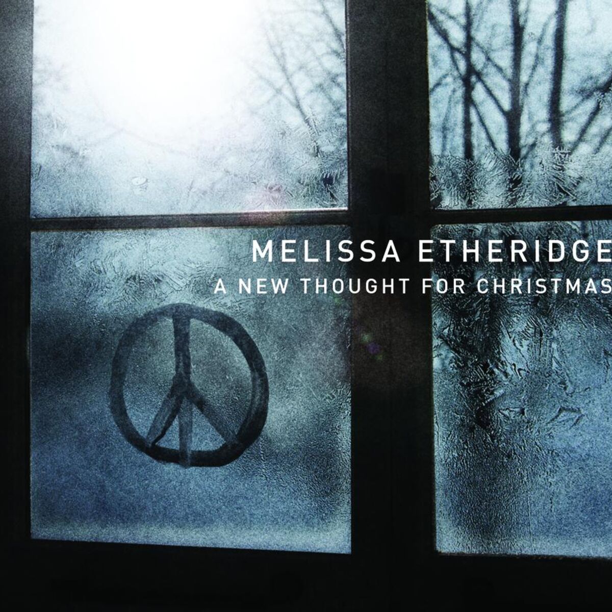 Album cover of A New Thought For Christmas