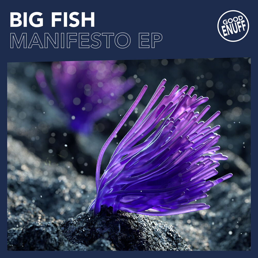 Picture of Manifesto