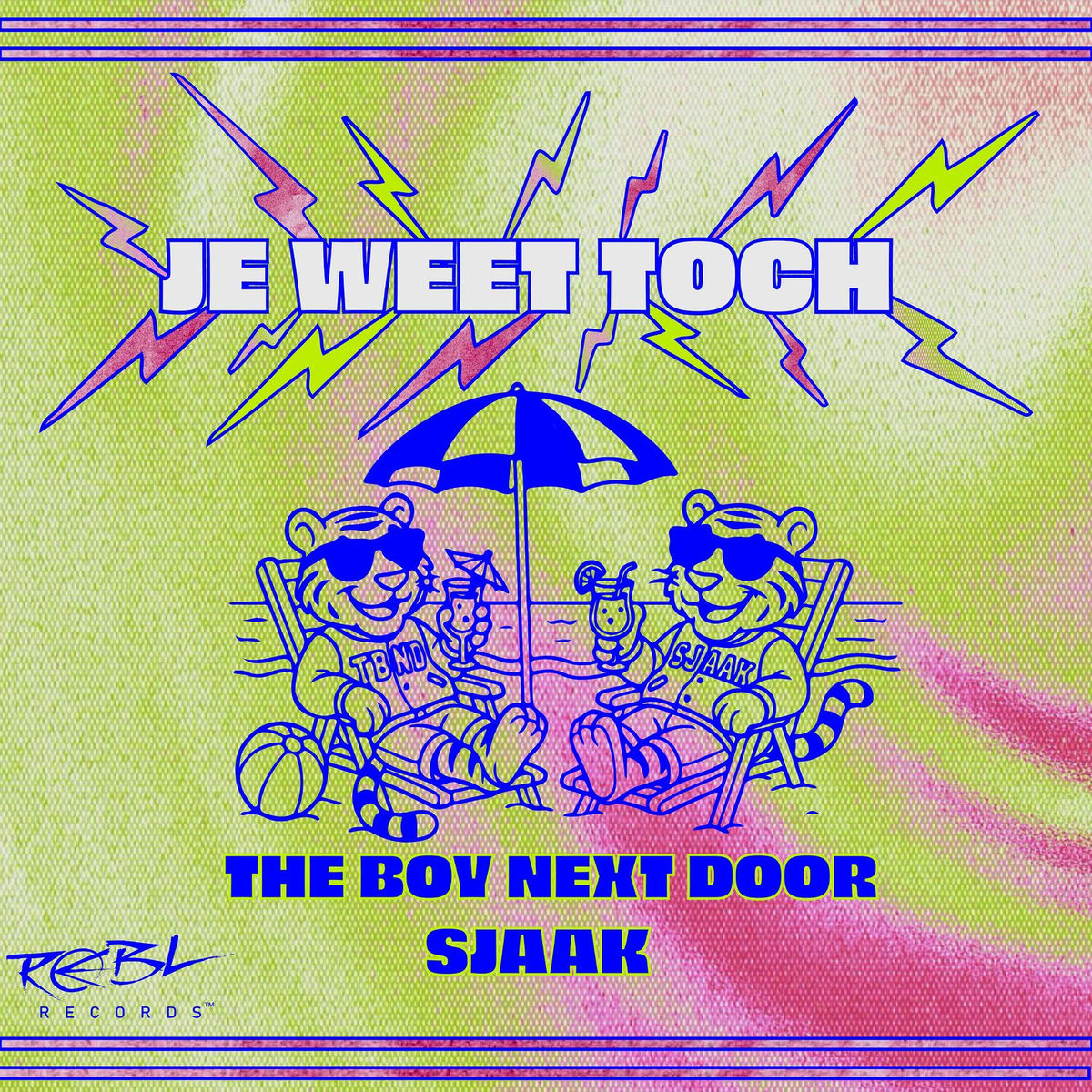 Album cover of Je Weet Toch