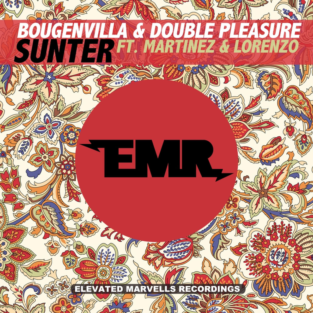 Album cover of Sunter