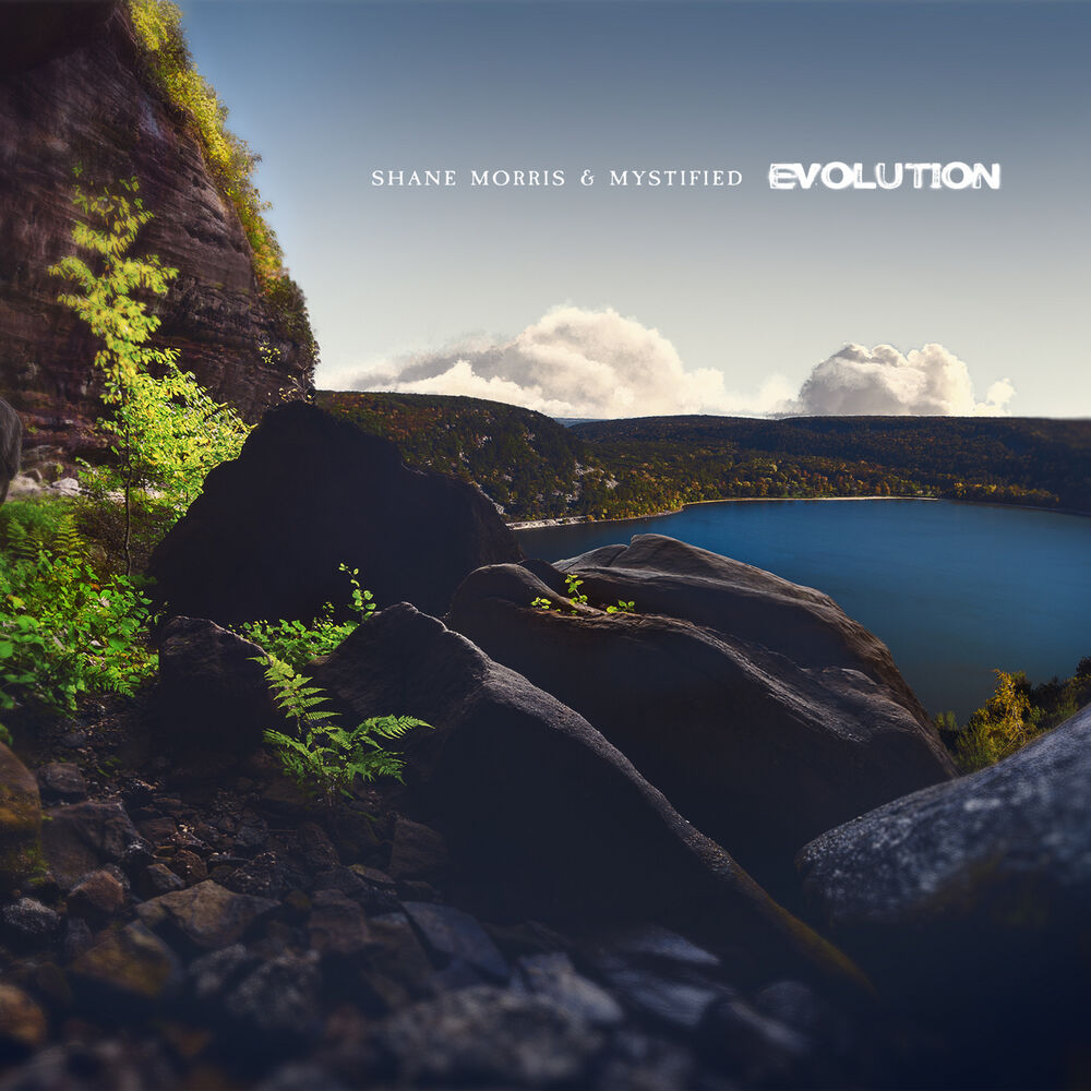 Picture of Evolution