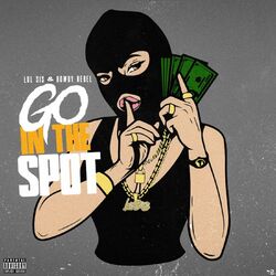 Cover of Go in the Spot