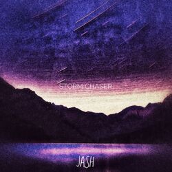Cover of Storm Chaser |Light | Dark|