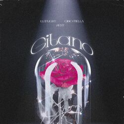 Cover of Gitano