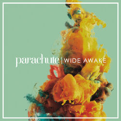 Cover of Wide Awake