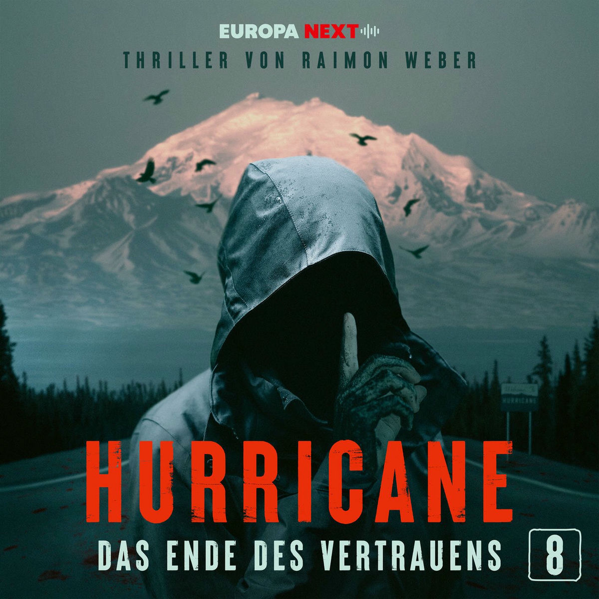 Album cover of Hurricane - Stadt der Lügen / Folge 8: Das Ende des Vertrauens