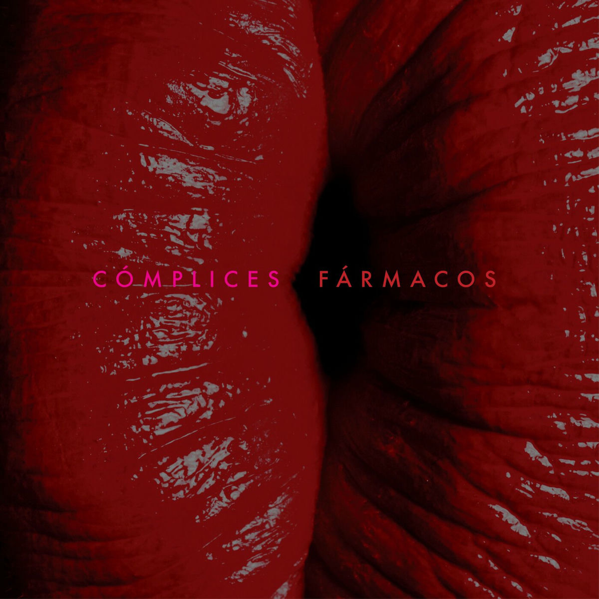 Album cover of Cómplices