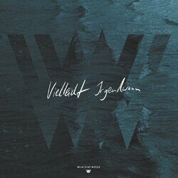 Cover of Vielleicht Irgendwann
