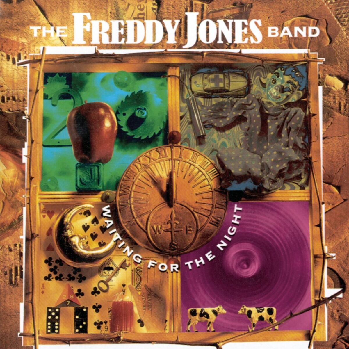 Album cover of Waiting For The Night
