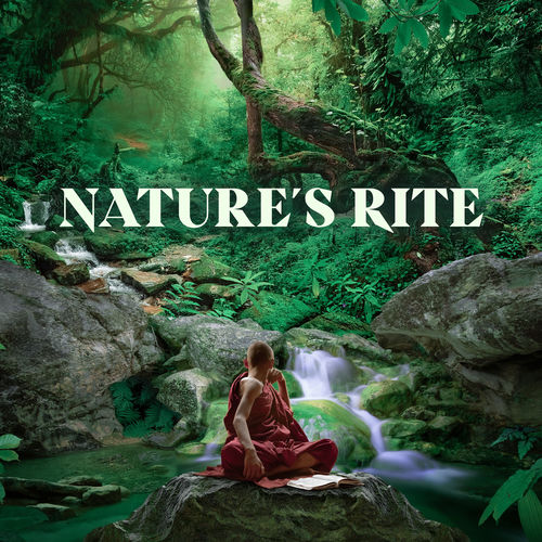 Nature's Rite: Sounds for Guided Meditation to Honor the Mother Earth through Forest Rituals
