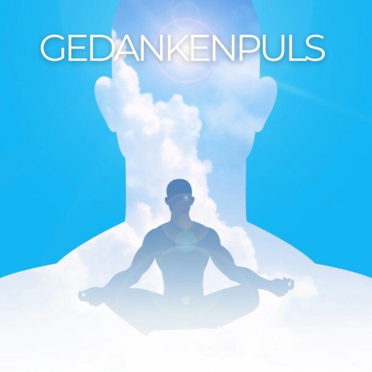 Album cover of Gedankenpuls: Alpha Wellen