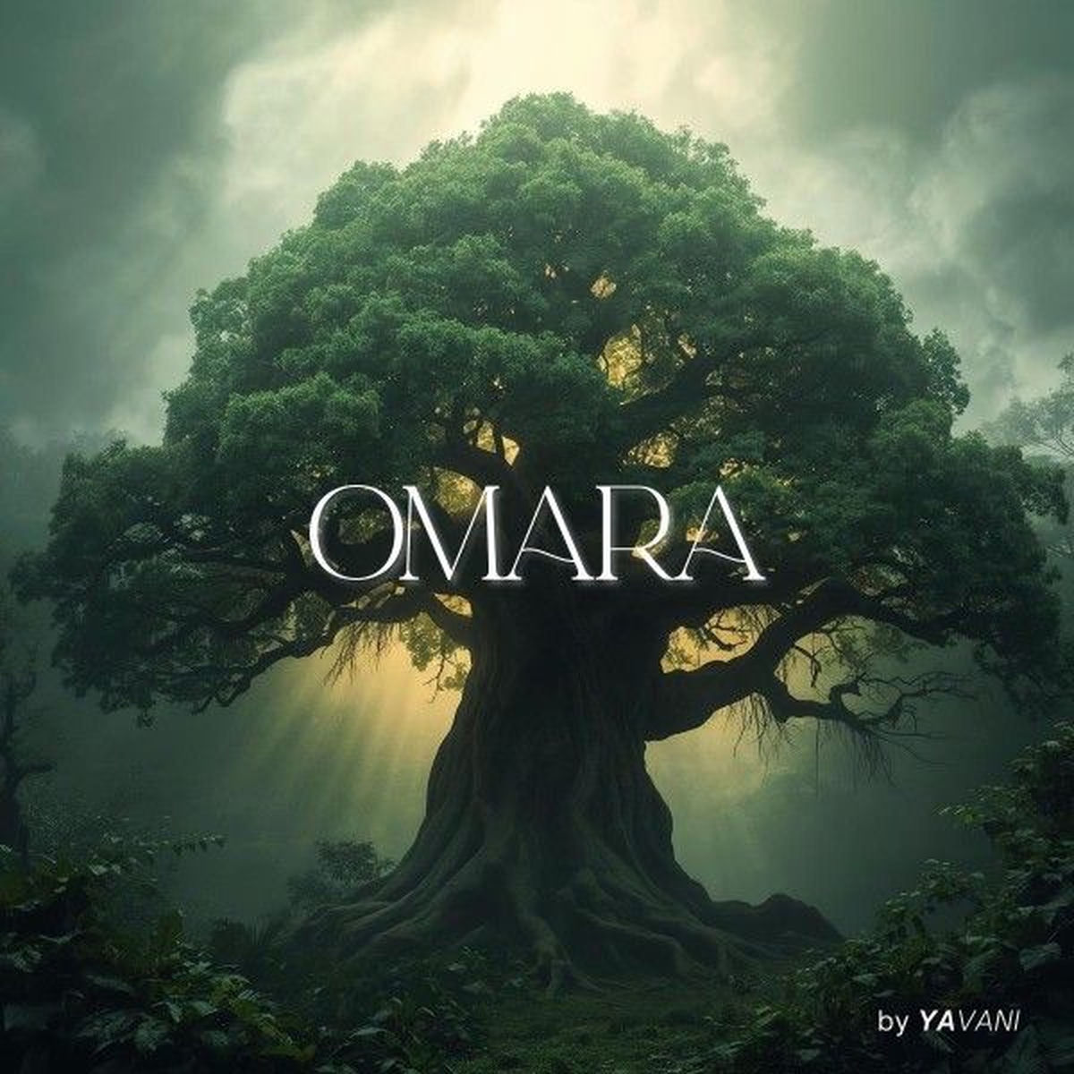 Album cover of Omara